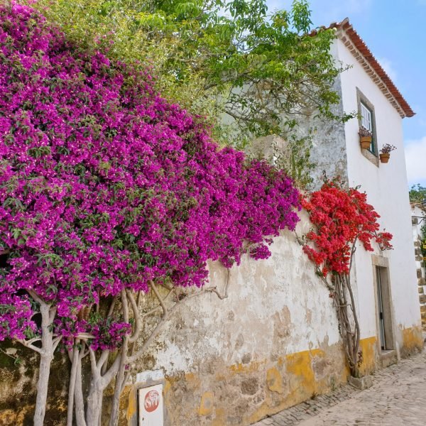 obidos